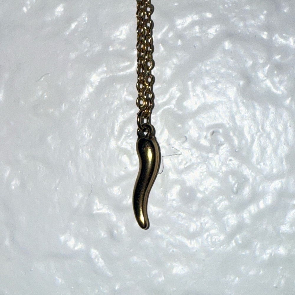 14K gold italian horn